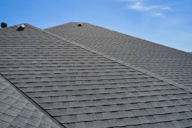 Best Roof Maintenance and Cleaning  in Havelock, NC